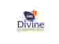 Divine AG Solutions Limited logo